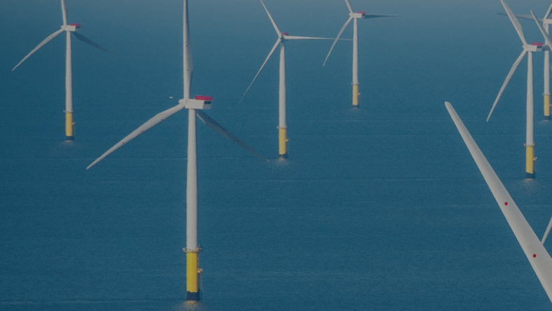 Crown Estate 629e29916b509