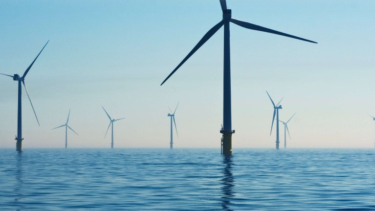 Vargronn 62bde2412534a