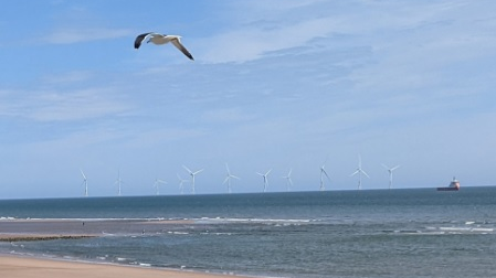 Verlume 62b2376f1e908