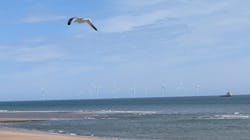 Verlume 62b2376f1e908 Verlume 62b2376f1e908