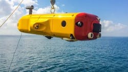 Flat Fish 63039dc803b36 Flat Fish 63039dc803b36