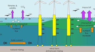 Floating Wind Farms