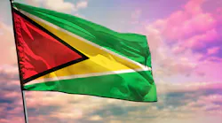 Guyana Flag