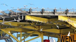 The provision of artificial nesting sites is considered a viable compensation measure for the potential impact of offshore wind development on certain seabird species, including the black-legged kittiwake. The provision of artificial nesting sites is considered a viable compensation measure for the potential impact of offshore wind development on certain seabird species, including the black-legged kittiwake.