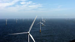 Pawp Reduziert 62f56641d8ca7 Pawp Reduziert 62f56641d8ca7