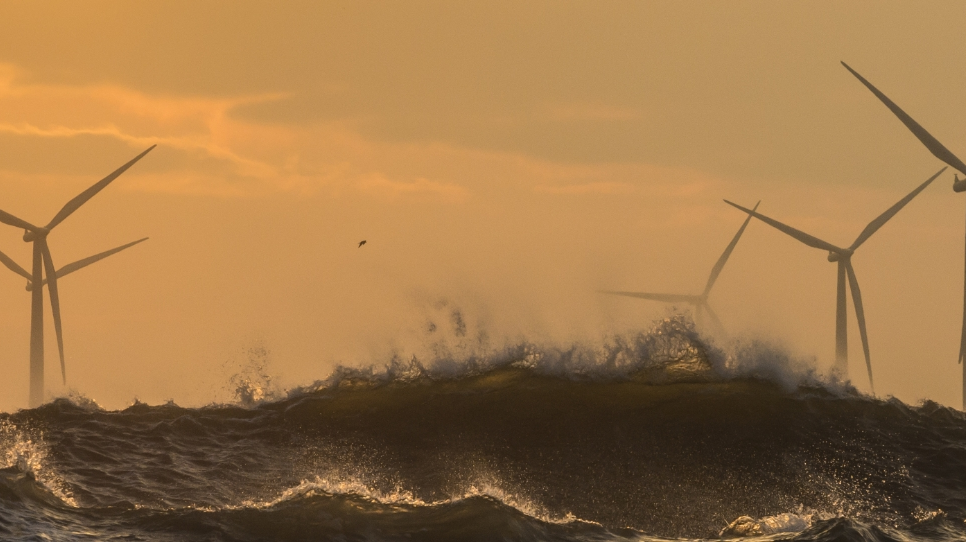 Salamander Floatoffshore 62e93334e613b