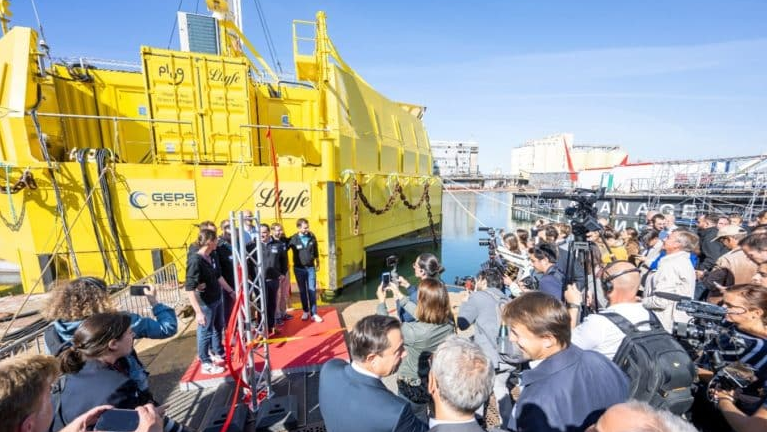 Sealhyfe 632dc7a9a818c