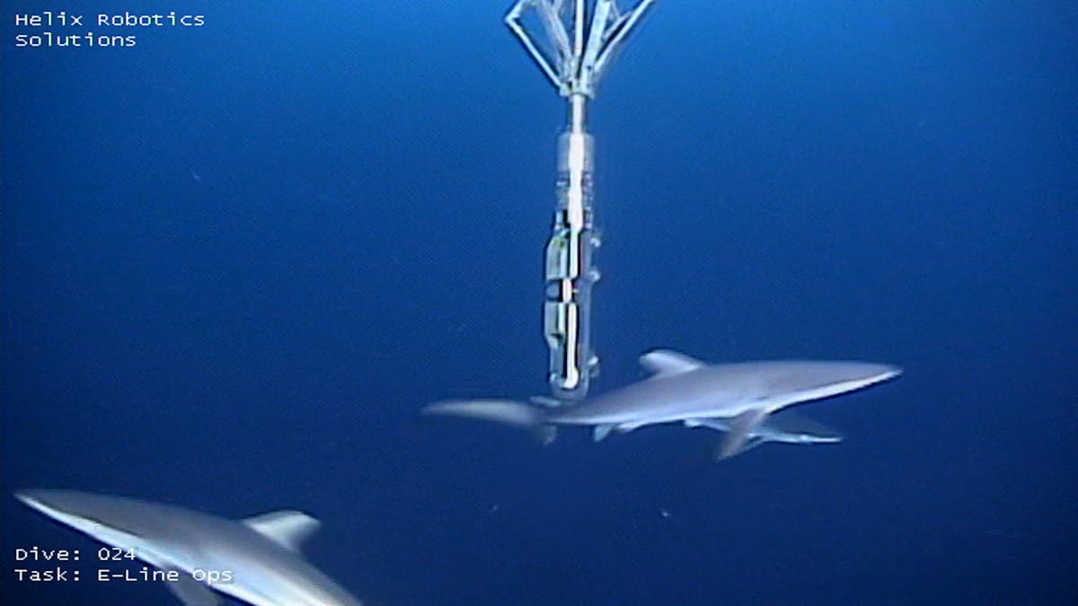 Rigless approach improves efficiency for P&A project in deepwater Gulf ...