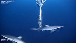 Dual-string barrier evaluation toolstring running in open water. Dual-string barrier evaluation toolstring running in open water.