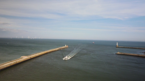 Simply Blue Group Salamander Project