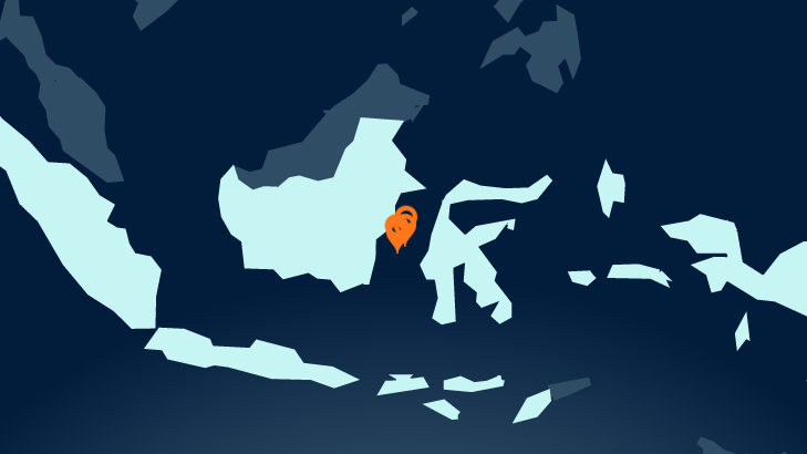 Working with its partners, Neptune produces LNG for export to the Indonesia region and gas for the domestic market to help meet the country&rsquo;s growing energy needs.