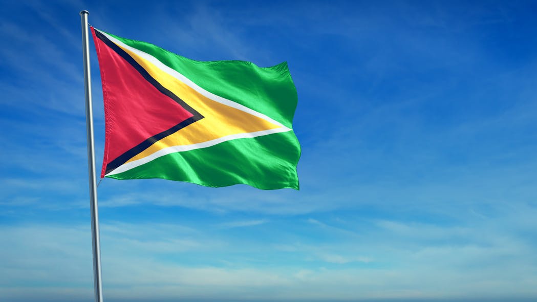 Guyana Flag
