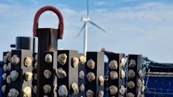 Oysters Van Oord 63652a8f27948 Oysters Van Oord 63652a8f27948