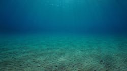 Seabed 636adfd6dd542 Seabed 636adfd6dd542