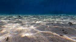 Seafloor Seafloor