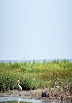 Talos Energy is the joint lessor and operator of 40,000-plus acres offshore Jefferson County, Texas, which it will be using for CCS project development (Bayou Bend CCS). Talos will have facilities along the beach to boost the CO2 offshore in the future and will incorporate environmental and community investments in areas where its projects are established. Talos Energy is the joint lessor and operator of 40,000-plus acres offshore Jefferson County, Texas, which it will be using for CCS project development (Bayou Bend CCS). Talos will have facilities along the beach to boost the CO2 offshore in the future and will incorporate environmental and community investments in areas where its projects are established.