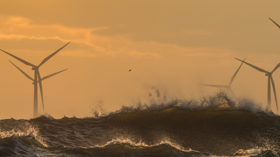 Salamander Floating Wind