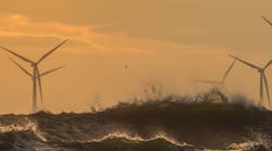 Salamander Floating Wind Salamander Floating Wind