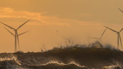 Salamander Floating Wind 639caaf58f68b Salamander Floating Wind 639caaf58f68b