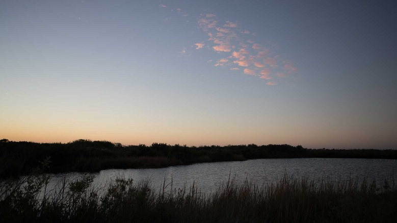 The US Gulf Coast is being considered by the Department of Energy as a future hydrogen hub.