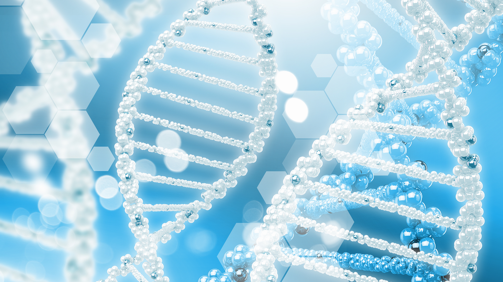 Dna Sequencing 63c6e1301bc0d