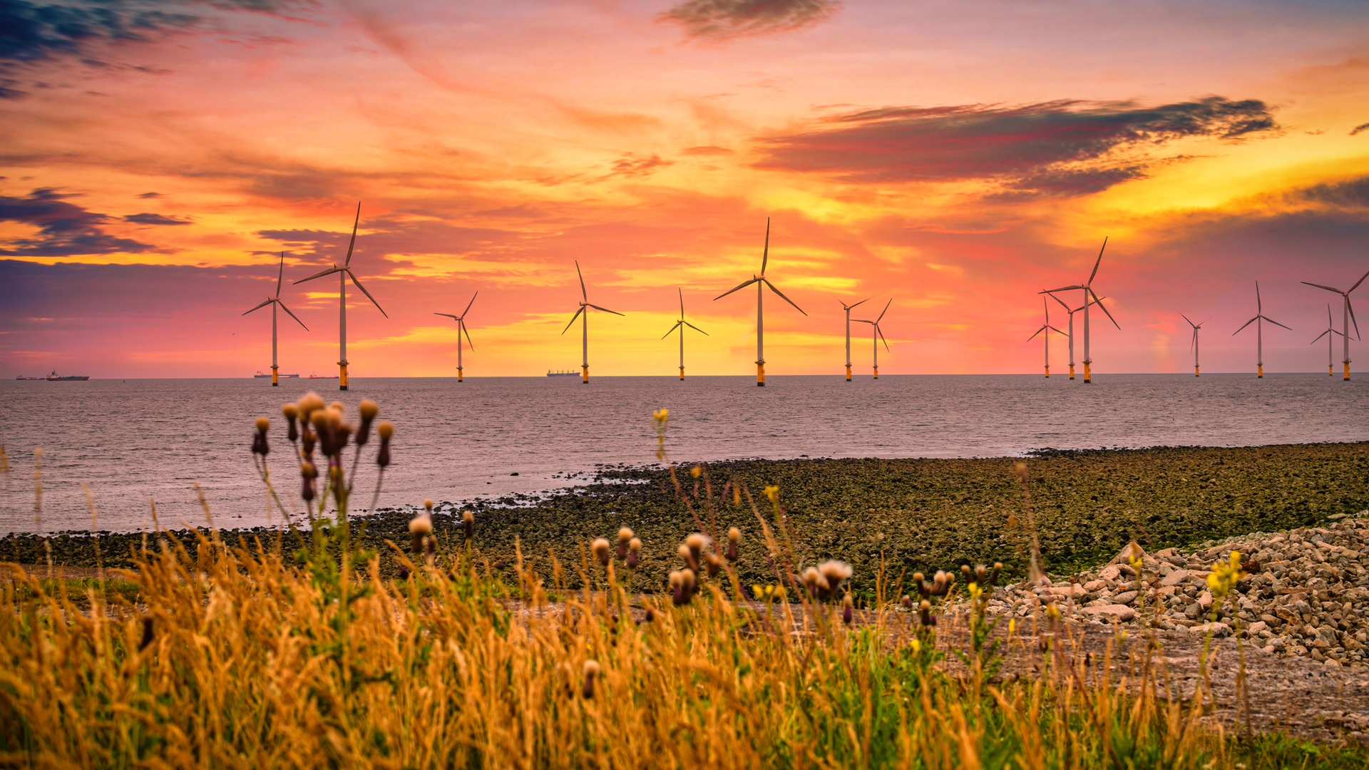 Offshore Wind Bucolic Dreamstime M 176473853