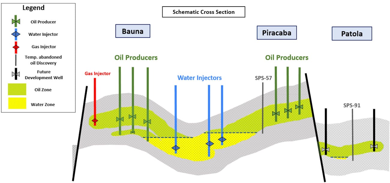 Neon Potential Development Neon Potential Development