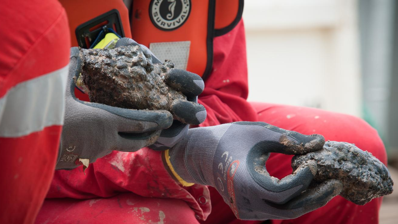 Close-up of GSR seafloor nodules