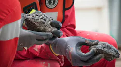 Close-up of GSR seafloor nodules