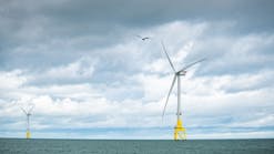 A &euro;3 million ($3.1 million) research project has revealed how seabirds avoid offshore wind farms.
