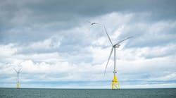 A €3 million ($3.1 million) research project has revealed how seabirds avoid offshore wind farms. A €3 million ($3.1 million) research project has revealed how seabirds avoid offshore wind farms.