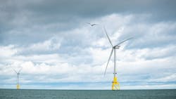 A €3 million ($3.1 million) research project has revealed how seabirds avoid offshore wind farms. A €3 million ($3.1 million) research project has revealed how seabirds avoid offshore wind farms.