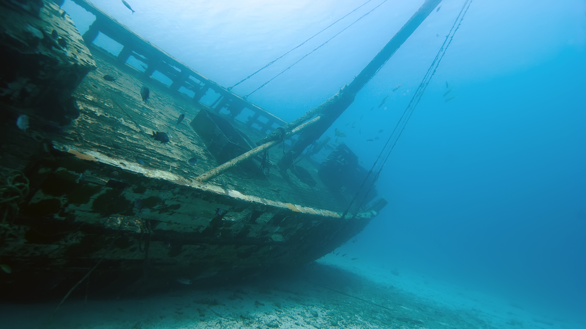 Shipwreck Dreamstime M 21560252