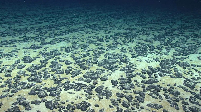https://img.offshore-mag.com/files/base/ebm/os/image/2023/02/3._Seafloor_nodules_NOAA.63e9862f4bd57.png?auto=format%2Ccompress&w=320