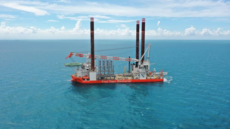 Brave Tern 640b63d5c4561