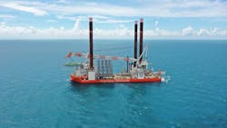 Brave Tern 640b63d5c4561 Brave Tern 640b63d5c4561