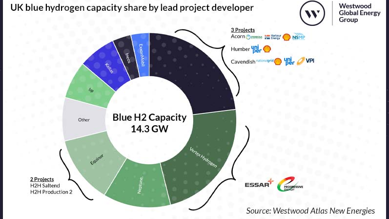 UK blue hydrogen capacity share by lead project developer announced for startup by 2030