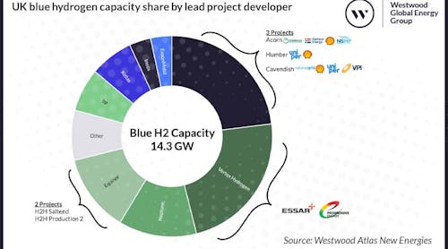 UK blue hydrogen capacity share by lead project developer announced for startup by 2030