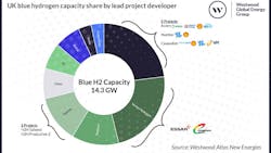 UK blue hydrogen capacity share by lead project developer announced for startup by 2030 UK blue hydrogen capacity share by lead project developer announced for startup by 2030