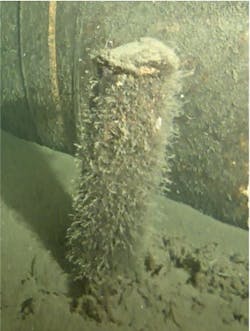 The object is cylindrical and measures about 40 cm in height and about 10 cm in diameter. It is possible that the object is a maritime smoke buoy, which is now being investigated further. The object is cylindrical and measures about 40 cm in height and about 10 cm in diameter. It is possible that the object is a maritime smoke buoy, which is now being investigated further.