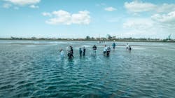 Offshore Wind Kids Offshore Wind Kids