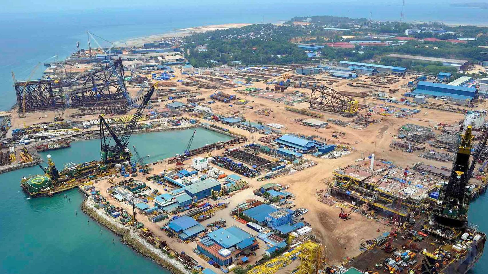 Sea Owl Capture Décran