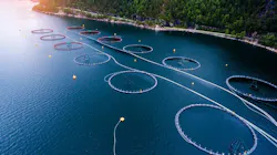 Under the project, the partners will develop a robust, resident drone solution with the initial focus on the aquaculture industry.
