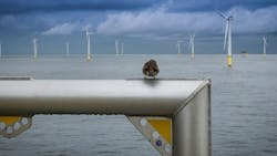 Tennet Wind Far 6466a4bb0e6a7 Tennet Wind Far 6466a4bb0e6a7