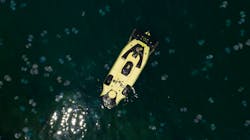 Flat Fish 2 649c52a1cd26b Flat Fish 2 649c52a1cd26b