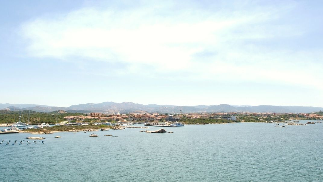 Olbia Harbour 2 1 Poseidon 6494cc0d05cfa