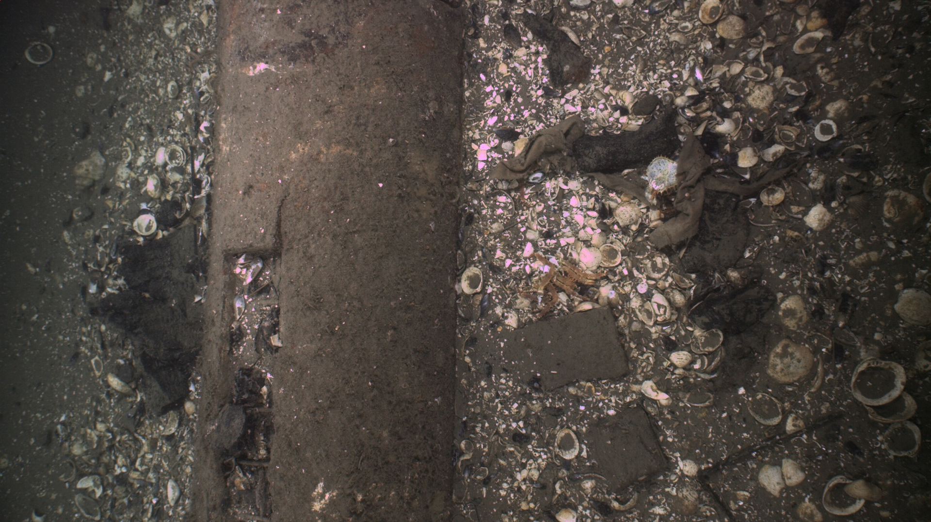 Subsea Inspection Image 6499d044c6116