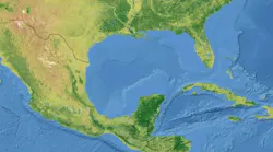 Gulf Of Mexico