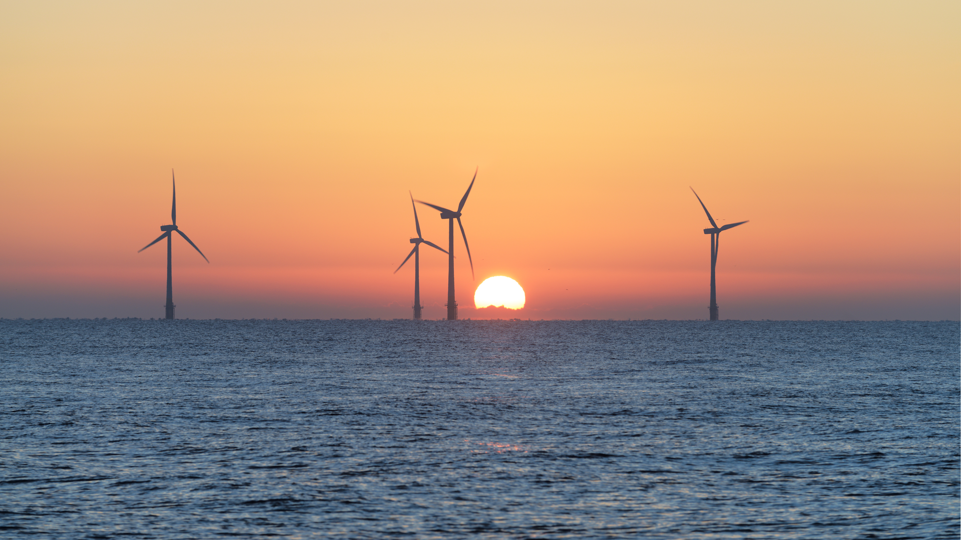 Offshore Sunrise As 421316609