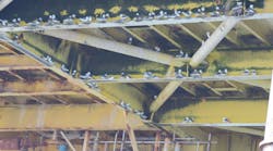 Nesting kittiwakes on the platform Nesting kittiwakes on the platform
